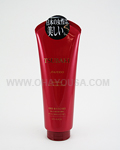 SHISEIDO Tsubaki Hair Treatment