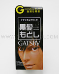 MANDOM Gatsby Turn Color Natural Black