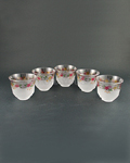 10pc Sakura Glass Cup Set