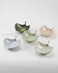 5pc Leaf Plate Set